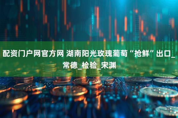 配资门户网官方网 湖南阳光玫瑰葡萄“抢鲜”出口_常德_检验_宋渊